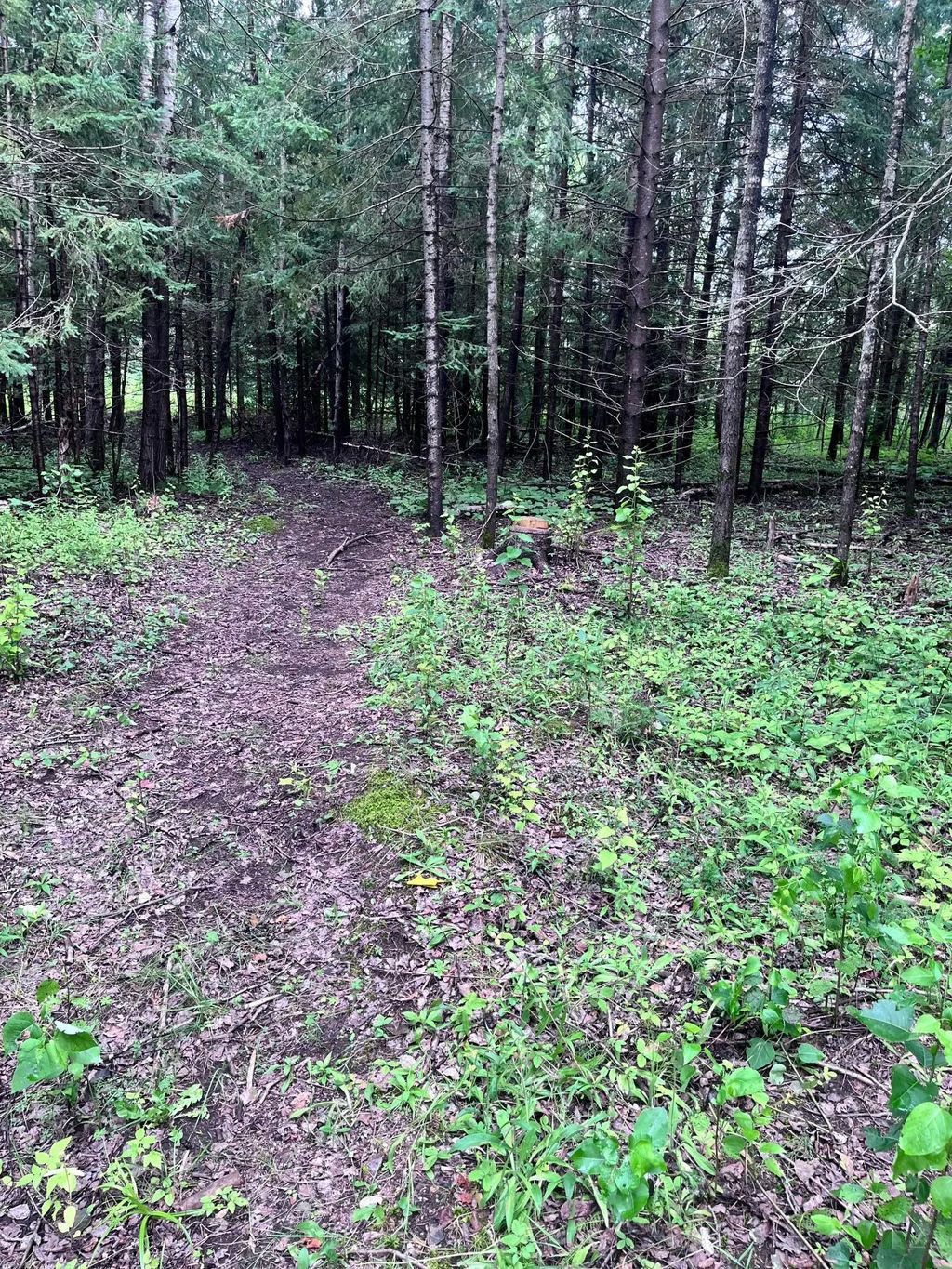 5524 Miller Trunk Highway, Hermantown