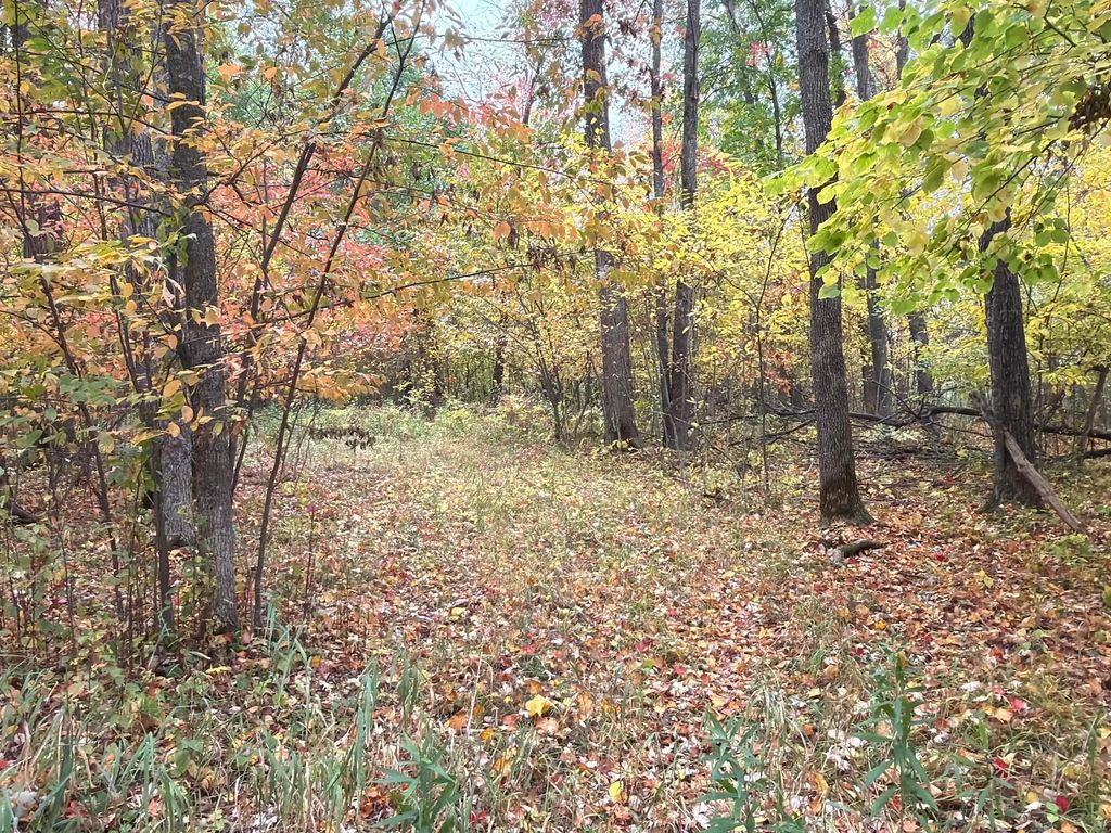 Klarquist Road, Lincoln Twp