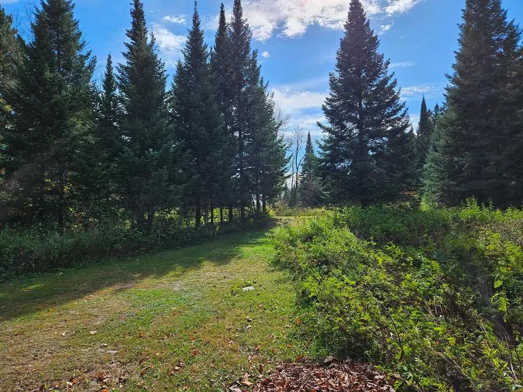 Lt 3 Blk 1 County Rd 238, Deer River
