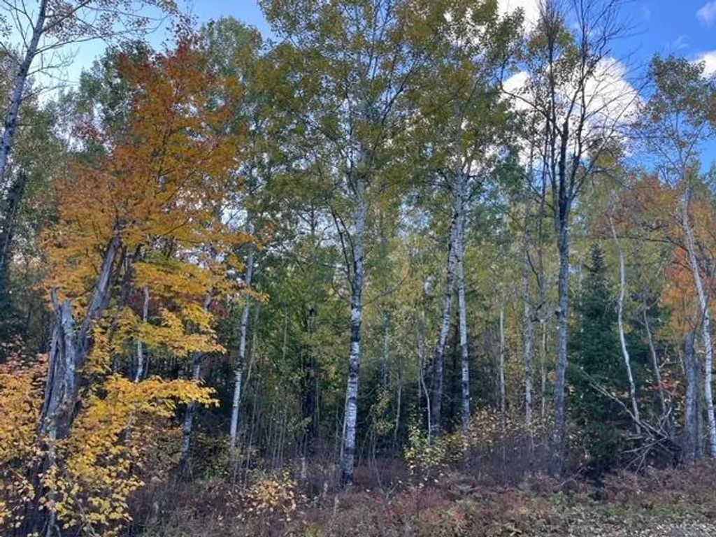 Tbd S Loon Lake Rd., Aurora