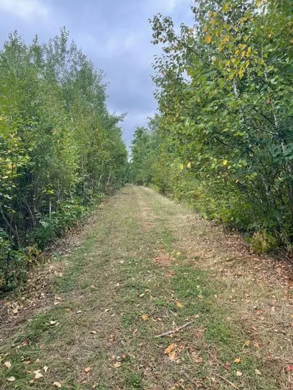 Tbd Lacy Lane Sw, Pequot Lakes
