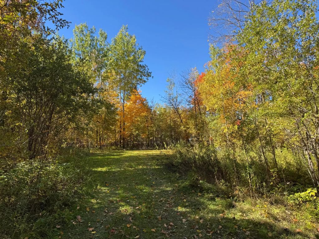 51265 Vagabond Loop, Bemidji