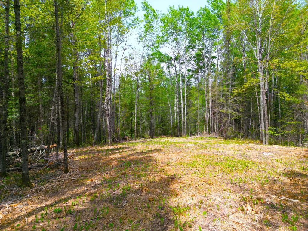72xx E Central Lakes Road Lot G, Eveleth