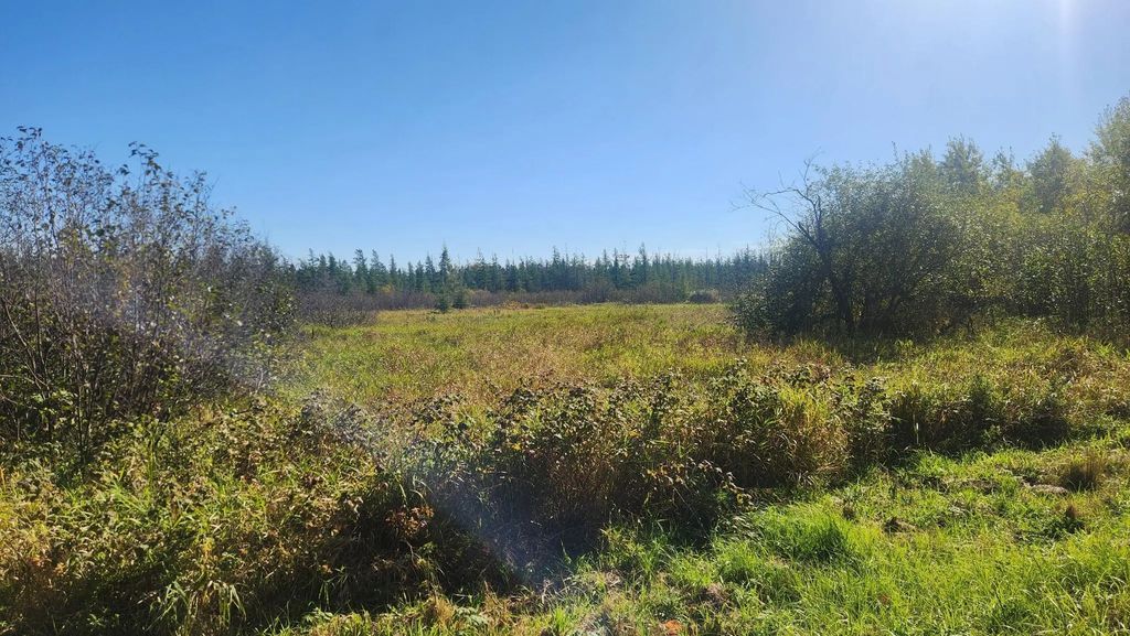 Tbd County Road 55 Road Ne, Remer