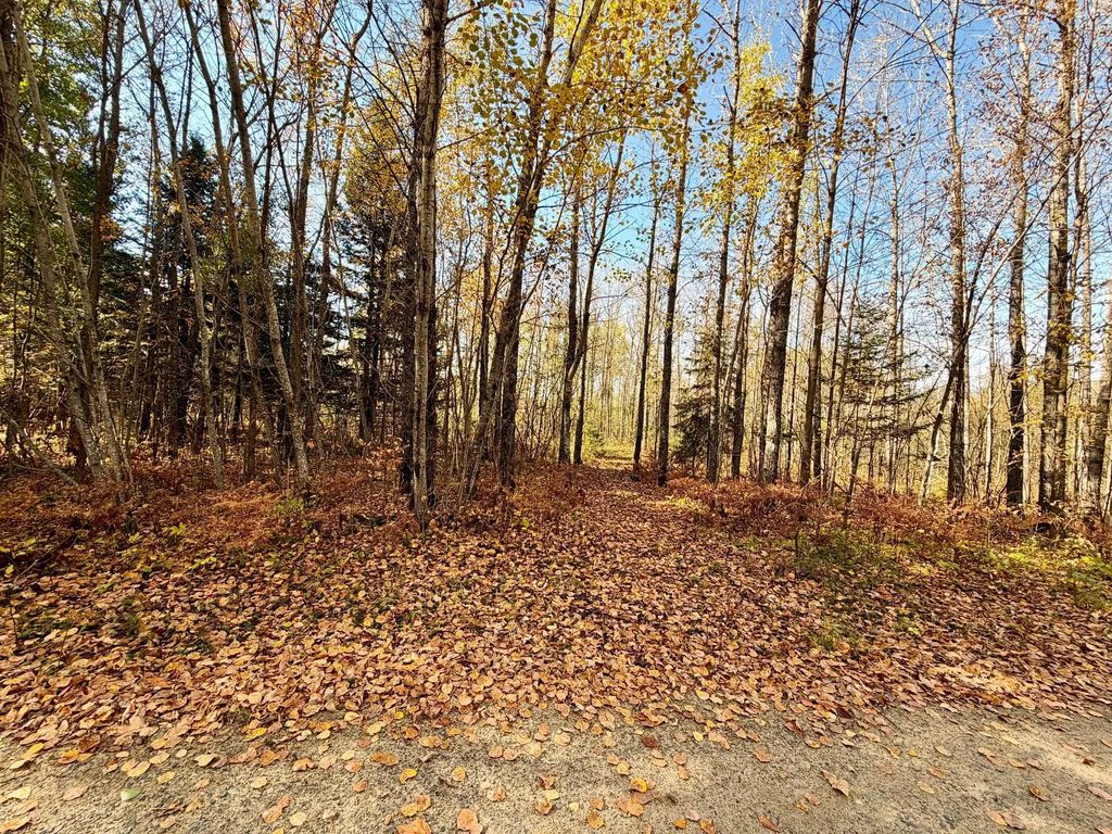 Tbd County Road 303, Deer River