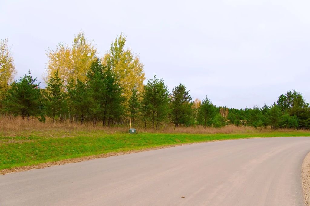 Tbd My Abbys Way Lane Sw, Pequot Lakes