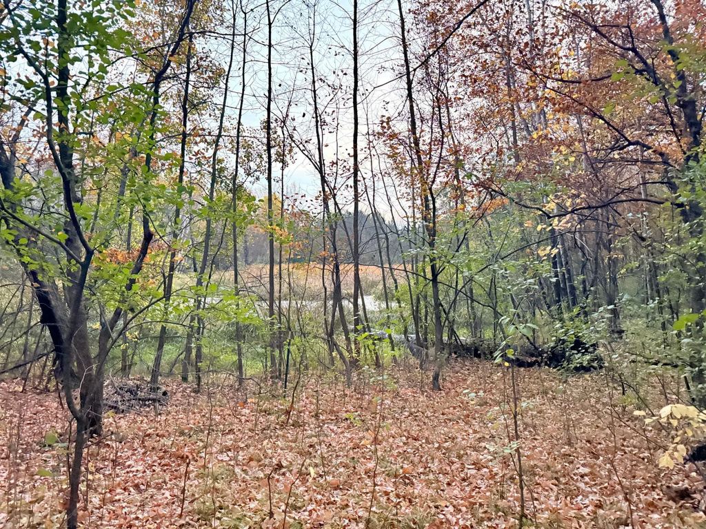 11832 County Road 51, Saint Joseph