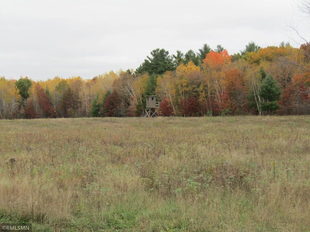 Xxxxx Holly Road, Pine City