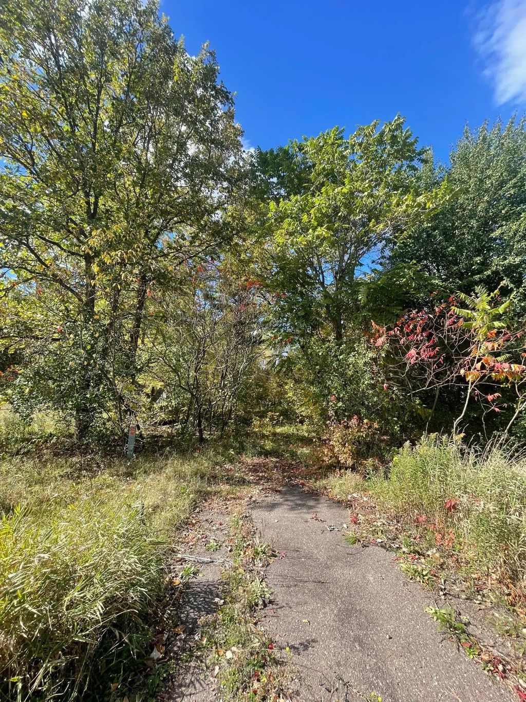 1383 Highway 107, Grasston