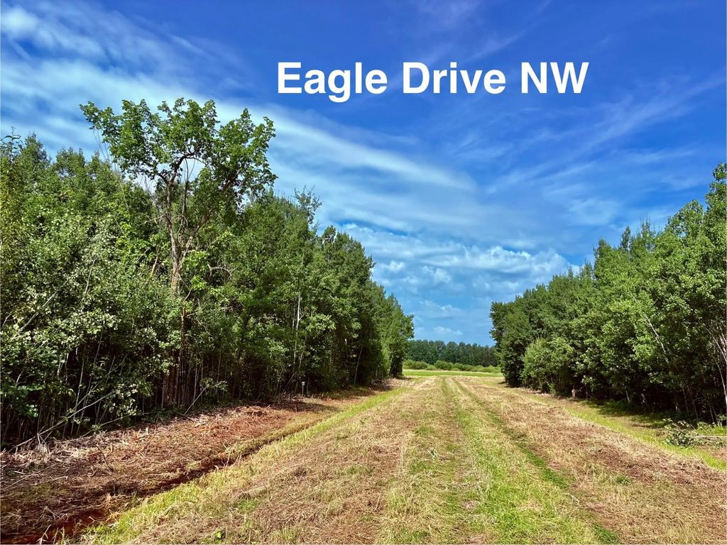 Tbd Eagle Dr Nw, Baudette