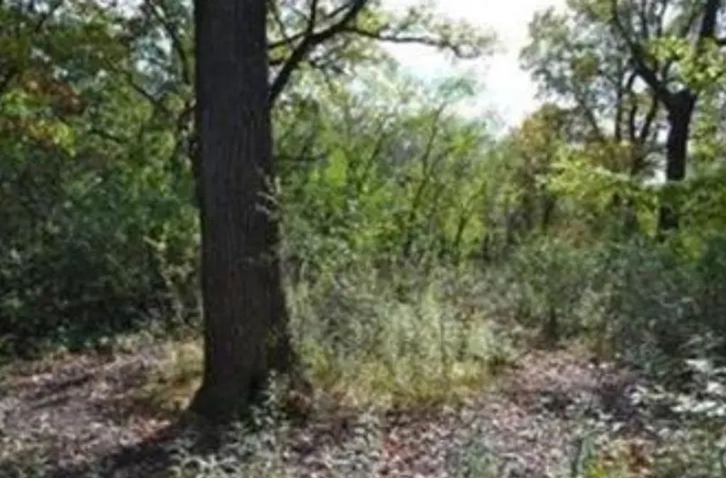 7106 Valley View Road, Edina