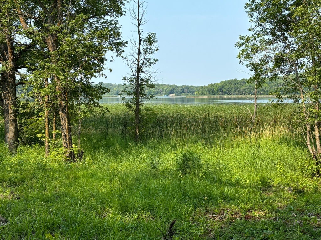 1254 Island Lake Resort Drive, Island Lake Twp - MLS #6575863 ...