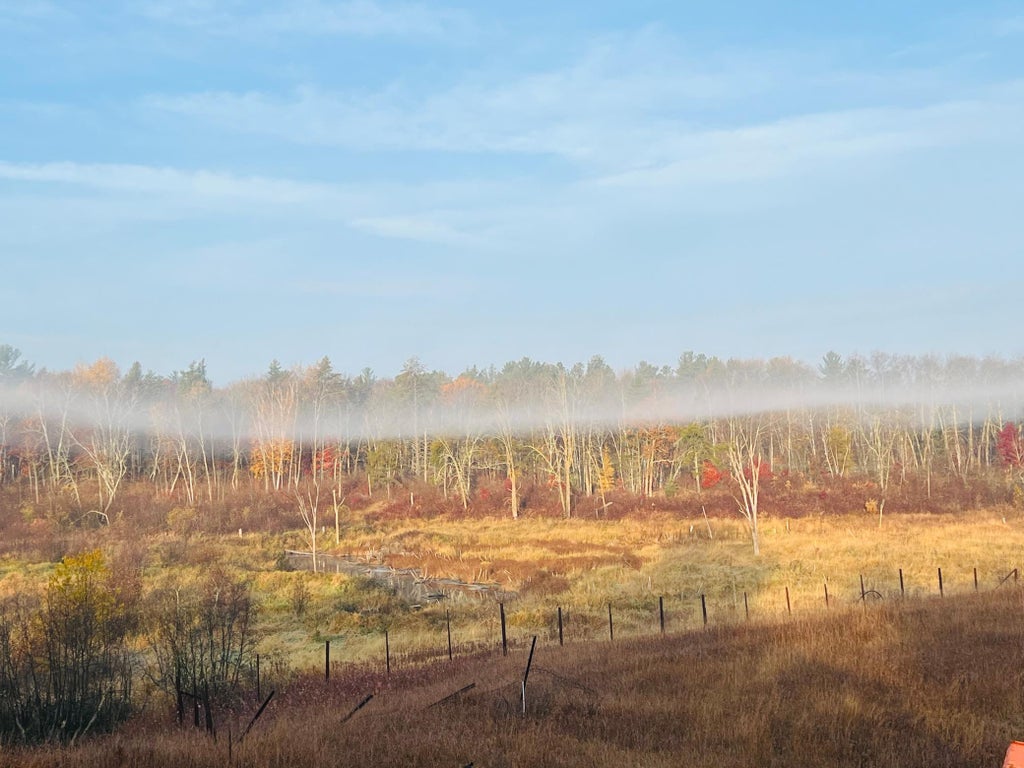 Xxx County Road 134, Pine River