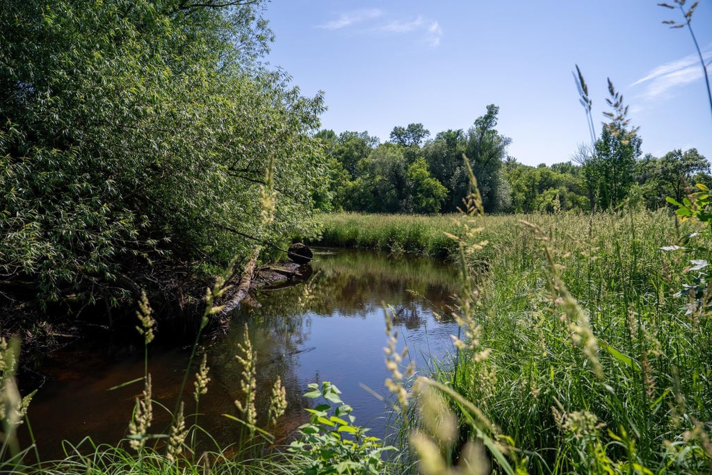 Tbd 6th Street, Randall