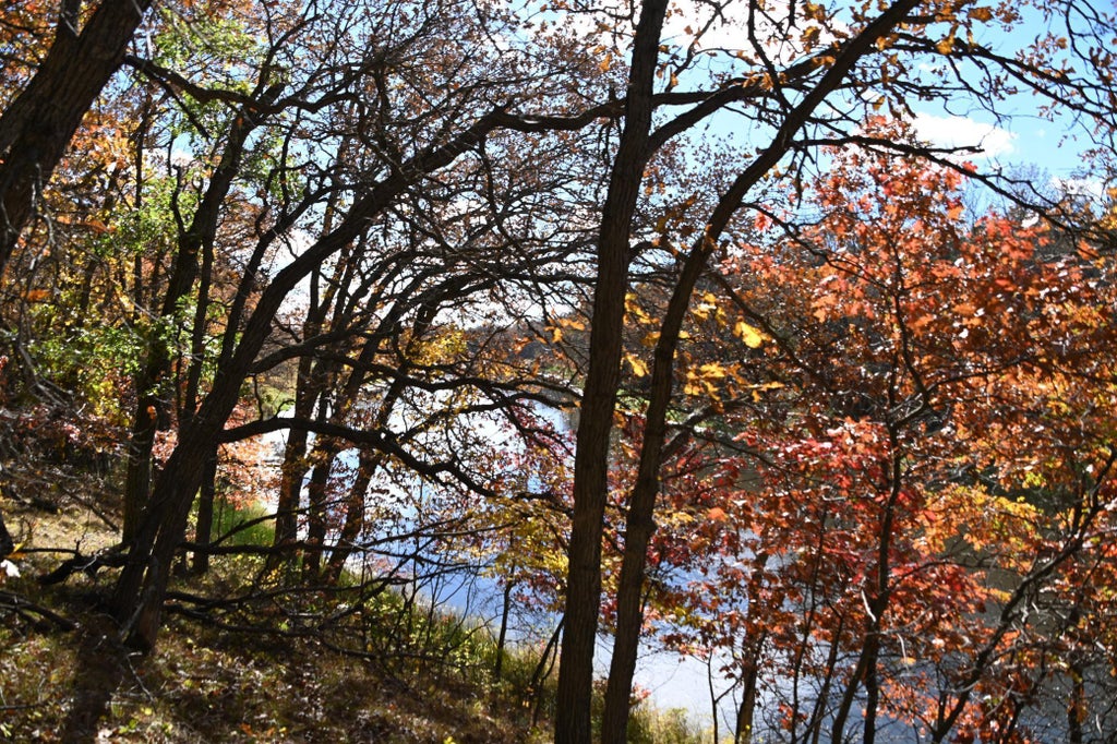 38869 Odin Court, Ward Twp