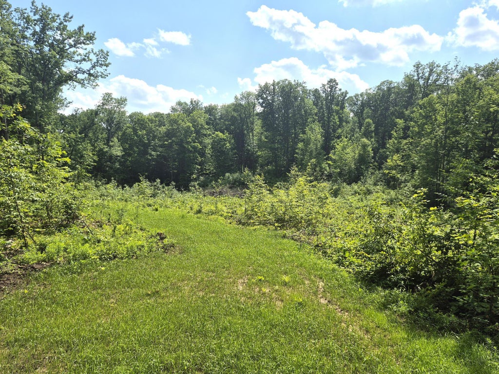 3383 30th Street, Lorain Twp