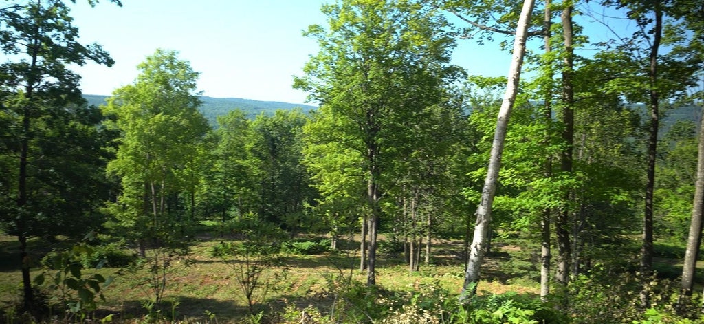 83xxx - Lot 12 Ashwabay Road, Bayfield
