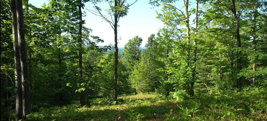 83xxx - Lot 13 Ashwabay Road, Bayfield
