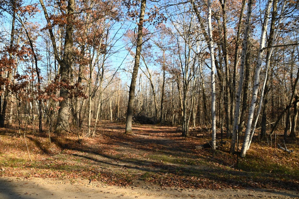 27537 Ode Circle, Browerville