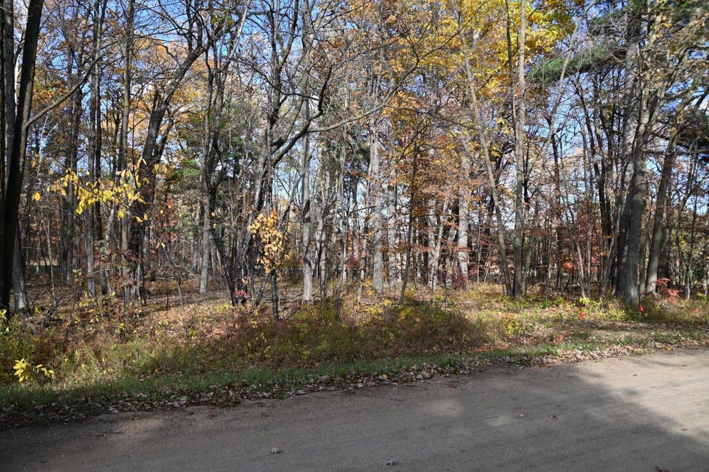 40889 Penelope Loop, Fawn Lake Twp