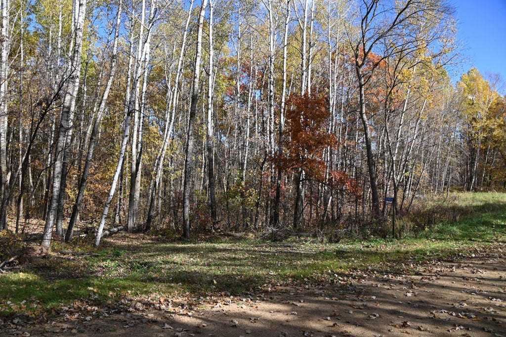 39924 Oriole Court, Moran Twp