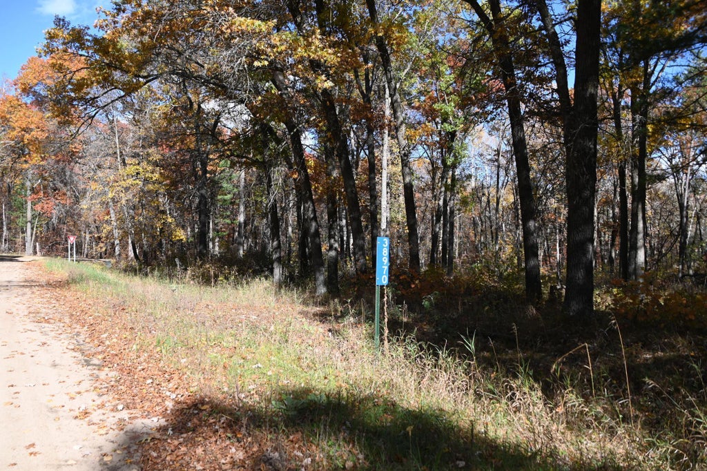 38970 Odin Court, Moran Twp