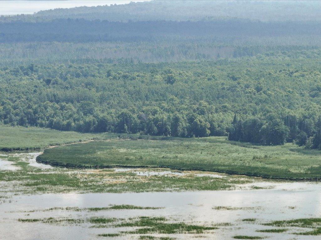 7998 Headquarters Drive Ne, Longville