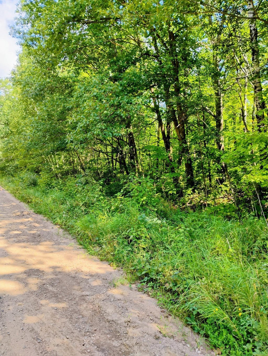 Tbd Olson Road, Dell Grove Twp