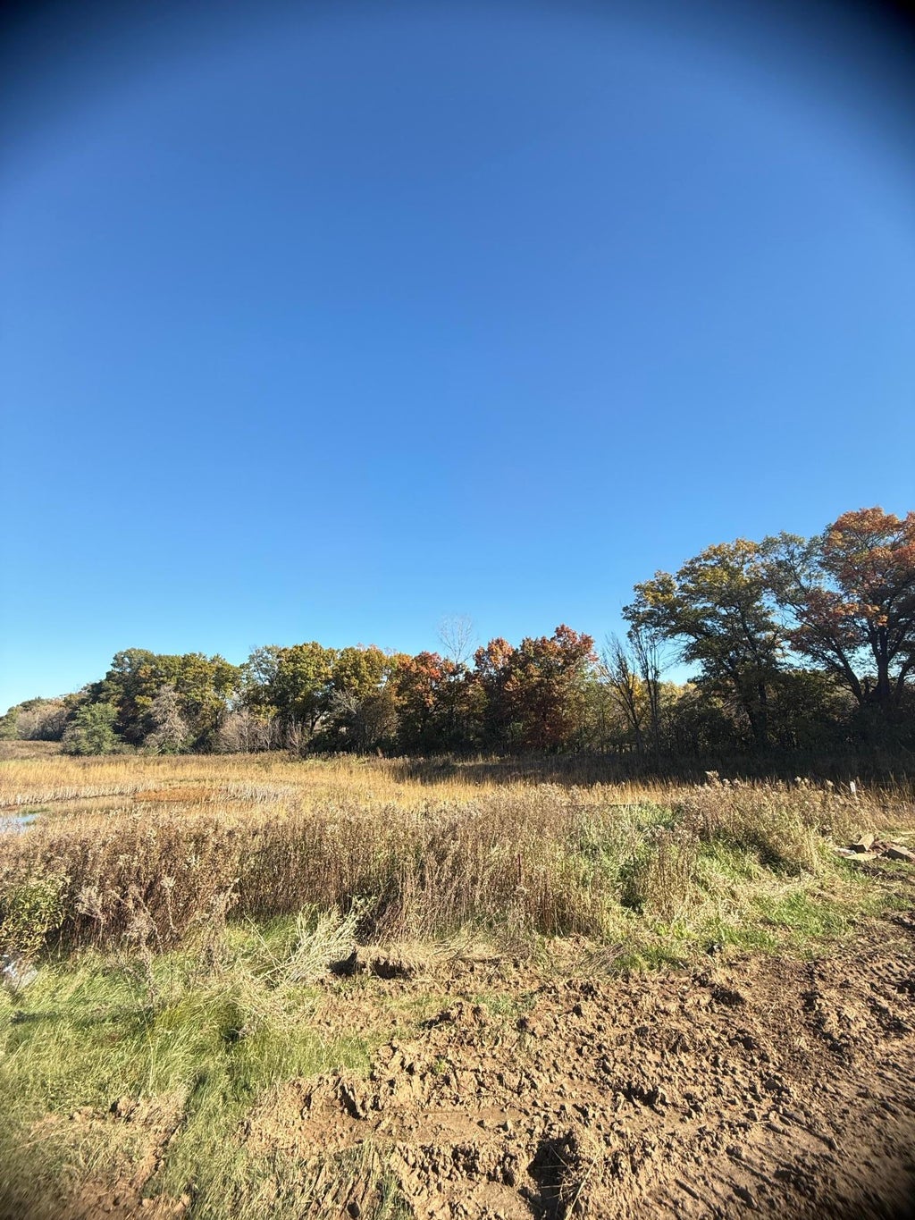 10484 56th Place N, Lake Elmo