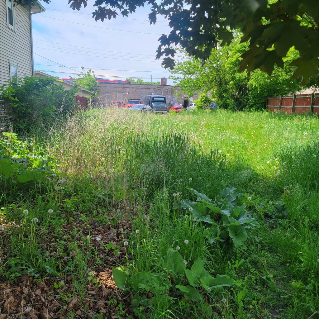 2029 Willow Avenue N, Minneapolis