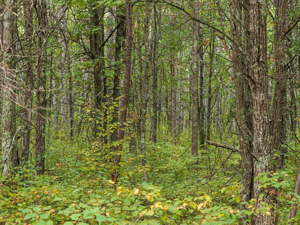 Lot A Sandbar Lane, Mission Twp