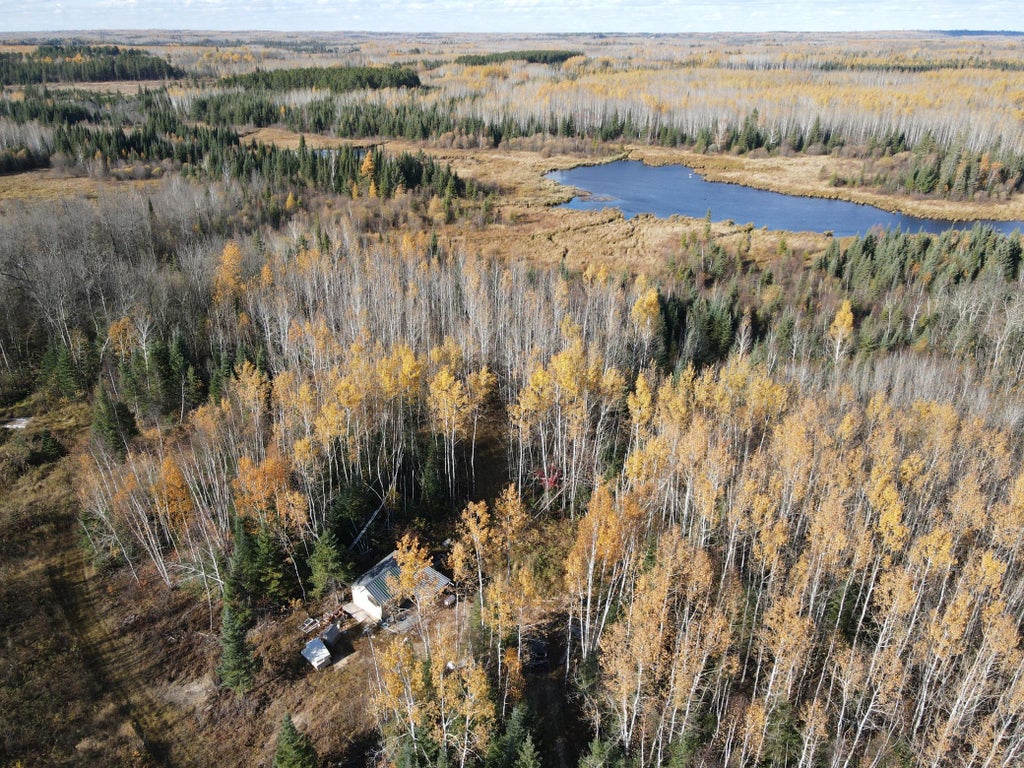 Tbd Rice Rapids Road, Effie