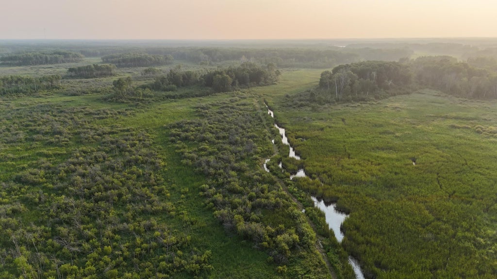 12031 State 64, Akeley