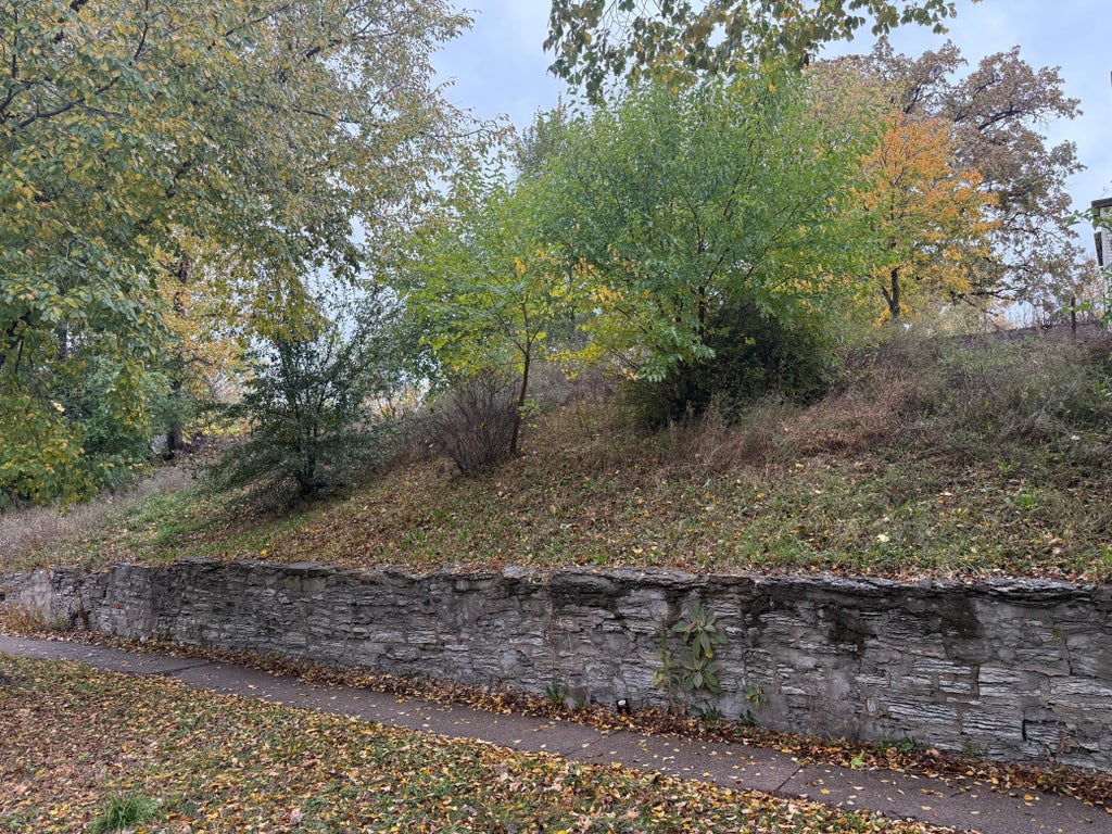 505 Whitall Street, St Paul