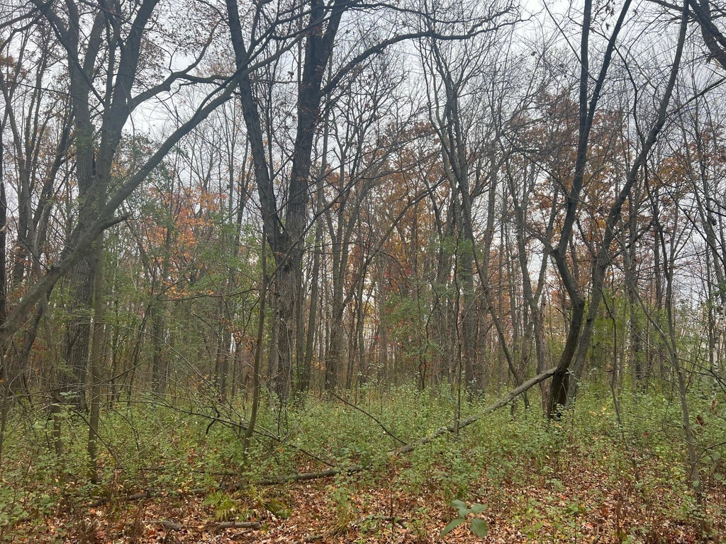 178xx 50th Avenue, Ogilvie