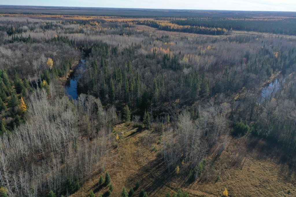 Tbd Township Rd. 98, Loman