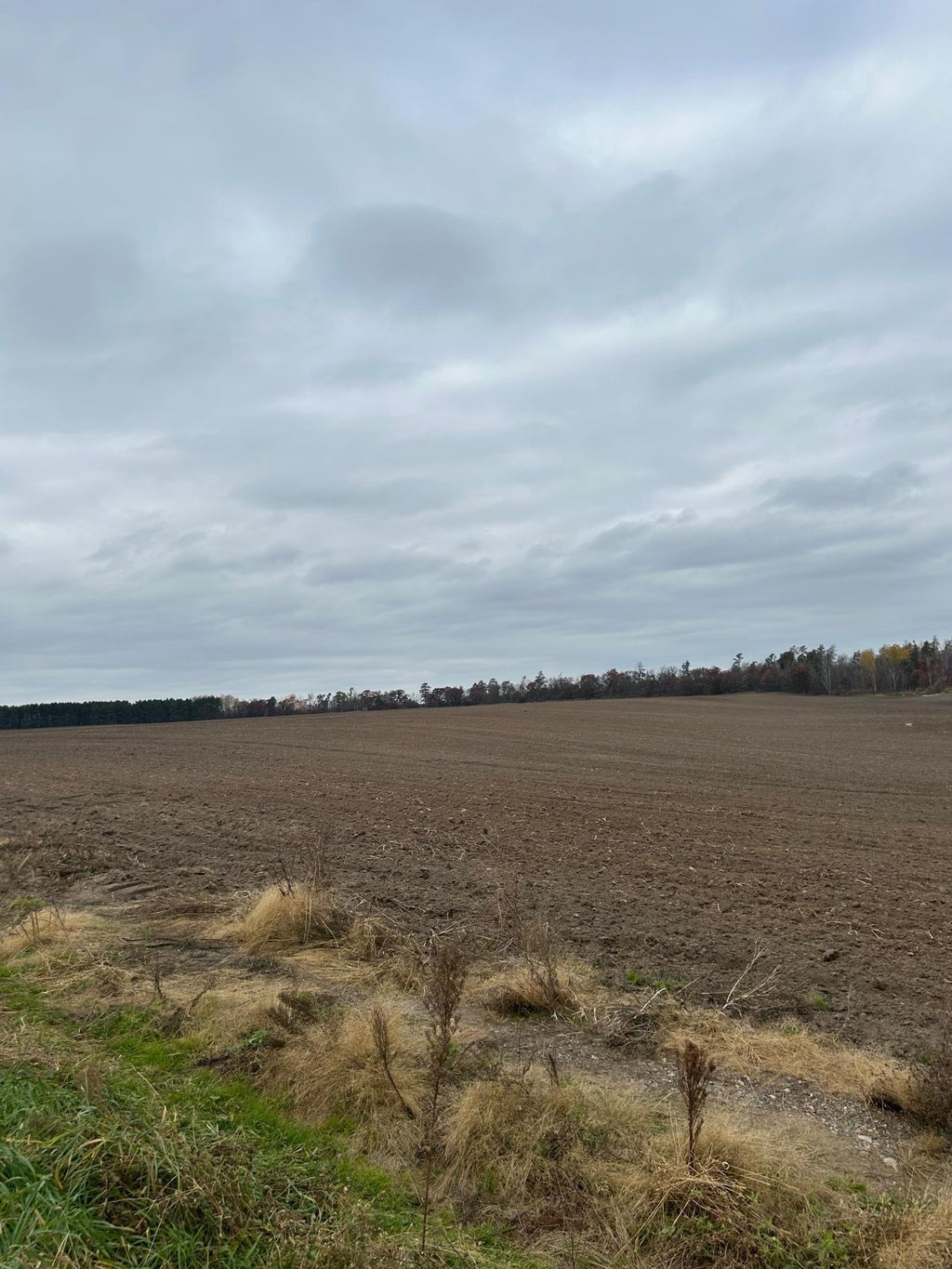 142 Ac Basswood Lake Rd, Ponsford