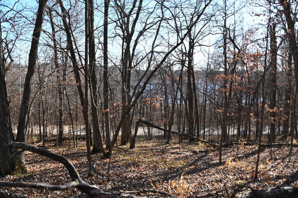 Tbd 392 Street, Fawn Lake Twp