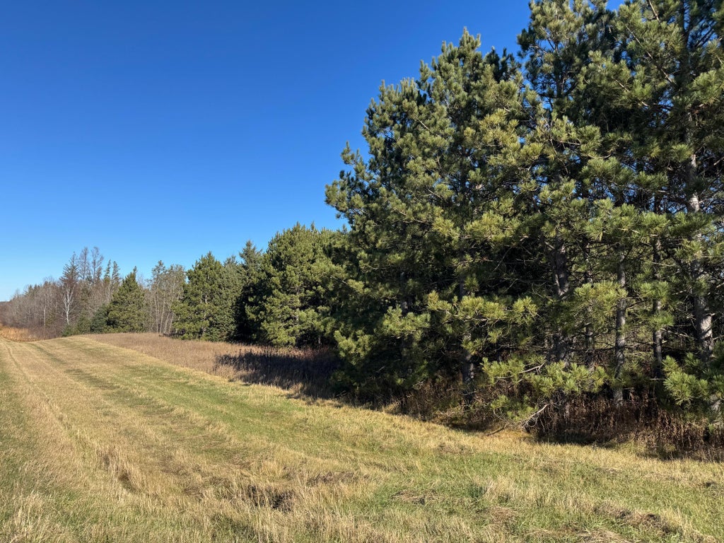 Tbd 141st Avenue, Bagley