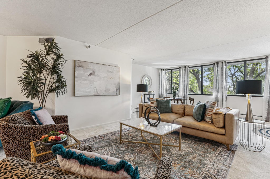 600 4th Street Sw 406, Rochester