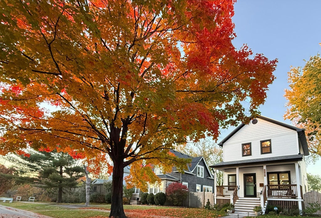 1787 Carroll Avenue, Saint Paul