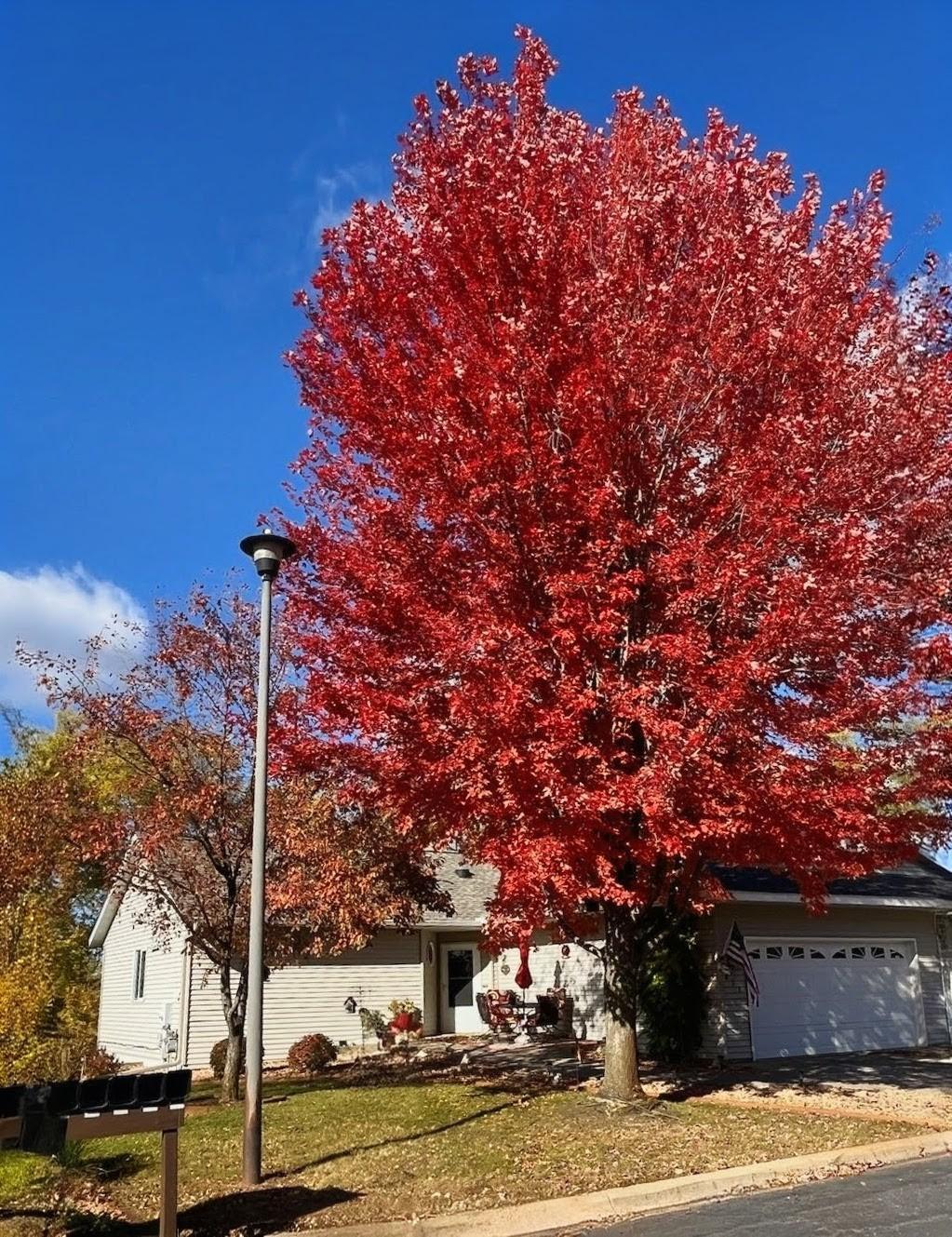 631 Norwood Lane, Big Lake