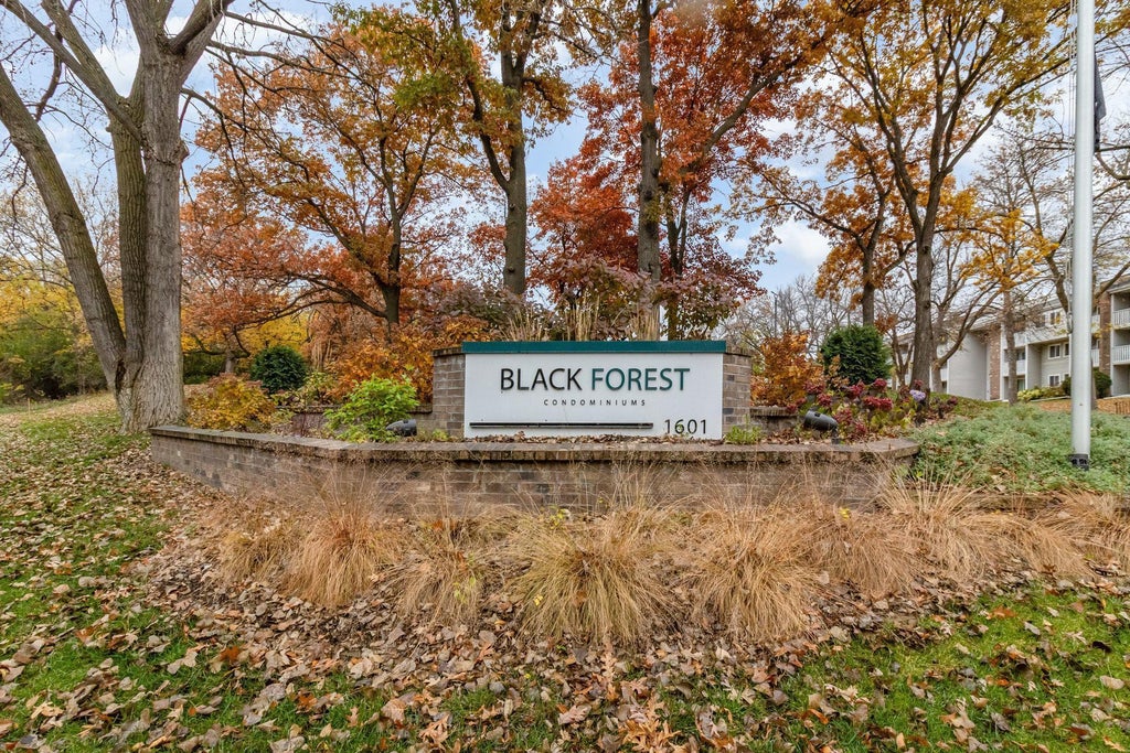 1601 N Innsbruck Drive Ne 123, Fridley