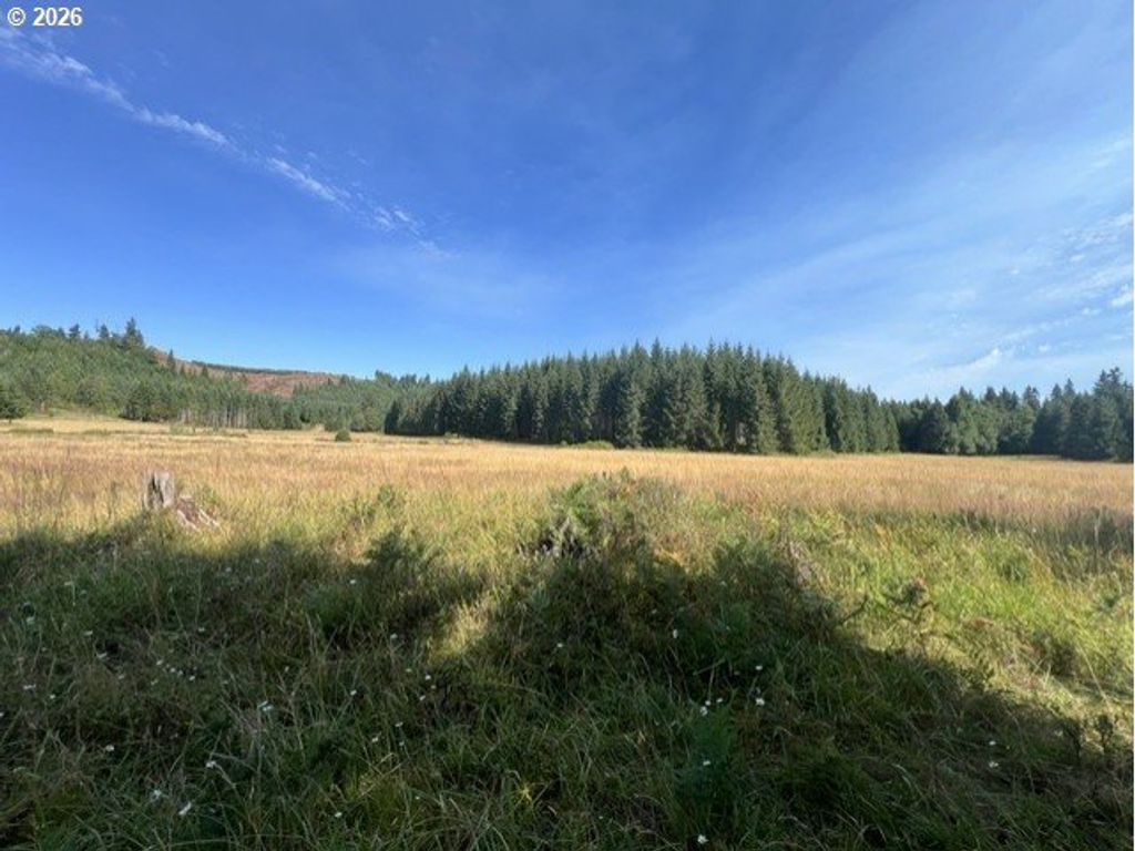 Timber Rd, Vernonia