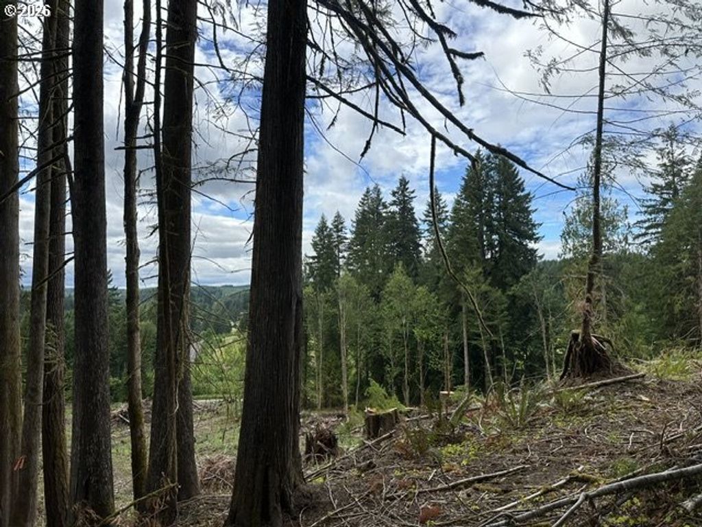 H St, Vernonia