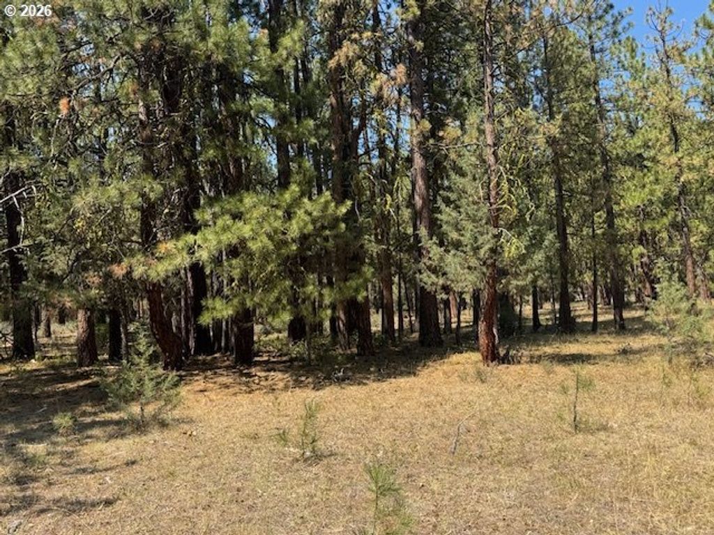 Whitetail Ln Lot 3, Bonanza