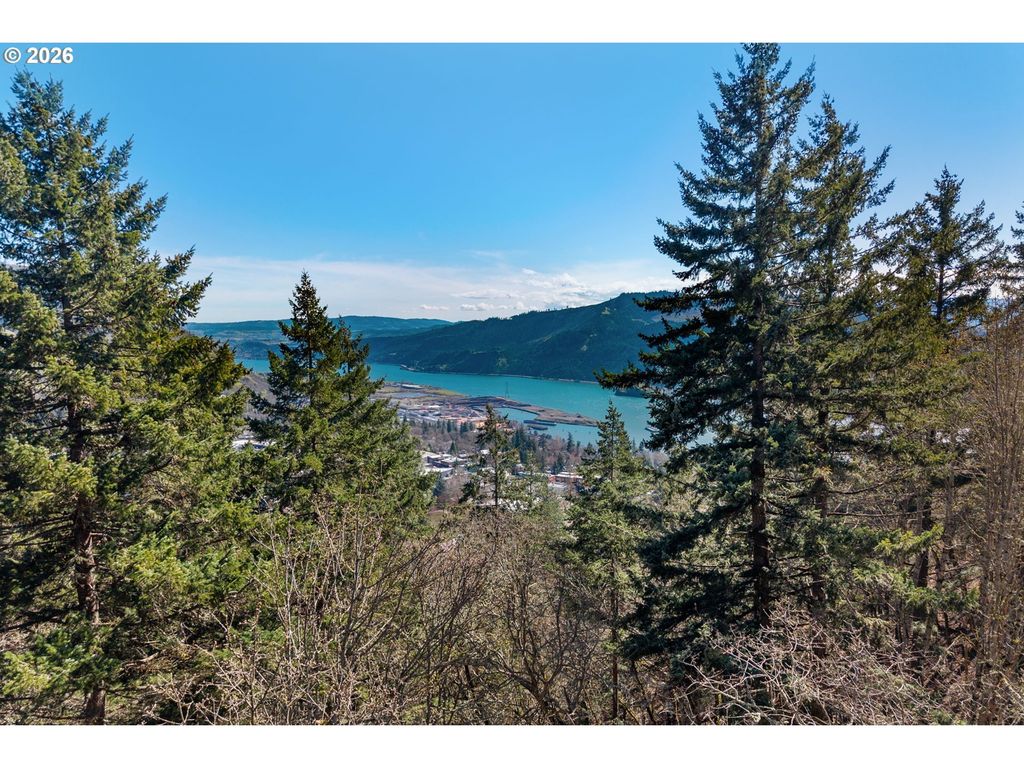 735 Nw Strawberry Mountain Rd, White Salmon