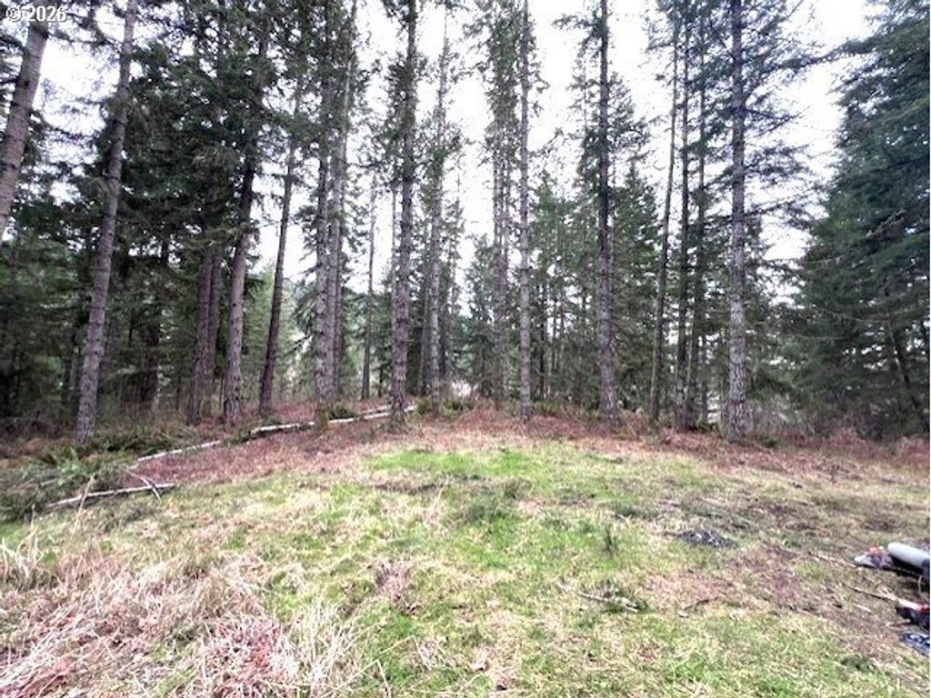 Highway 47, Vernonia