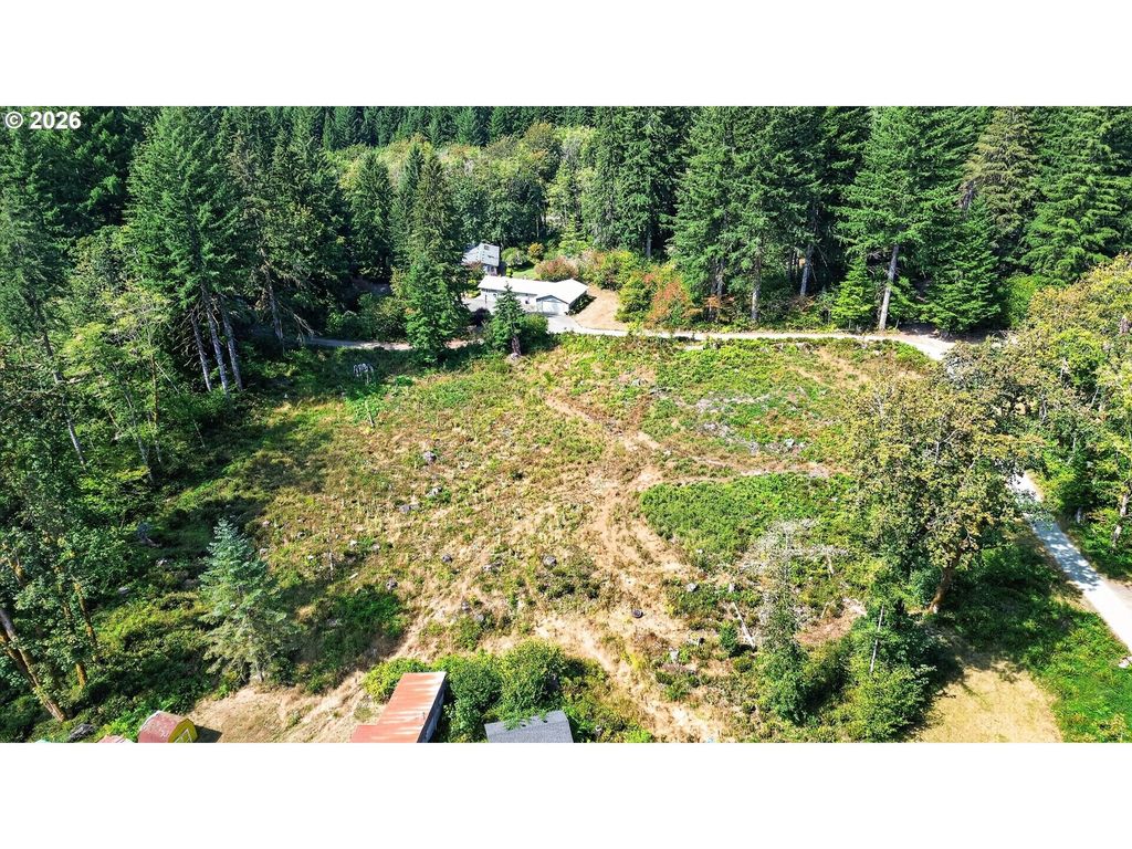 Dog Creek Rd, Cougar