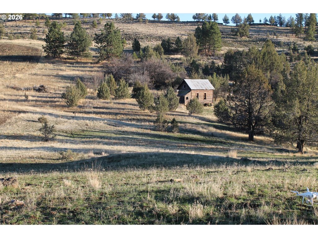 Ritter Road, Ritter